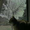 butter.on.a.poptart69 Altpins Profile Picture