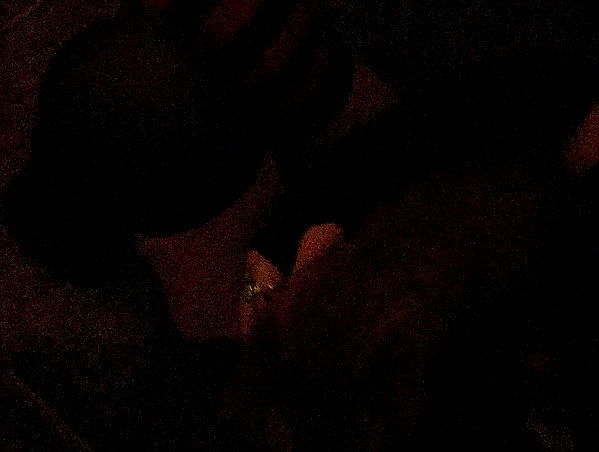 butter.on.a.poptart69 instagram image archive image