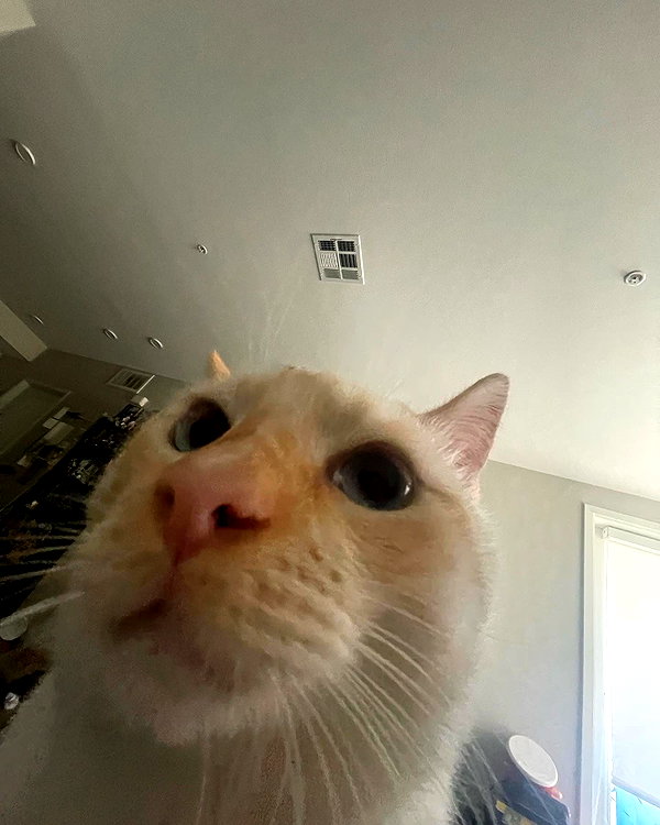 butterywaterboi instagram image archive image