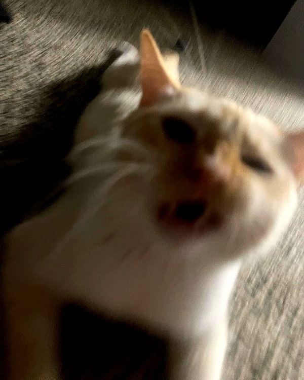 butterywaterboi instagram image archive image