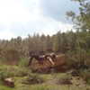 buyanov.pie Altpins Profile Picture