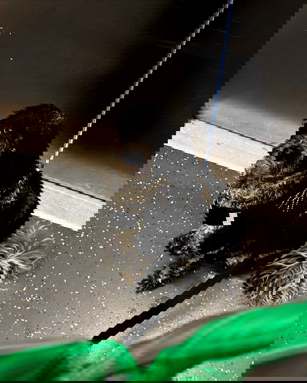 bymonamarie bymonamarie archive image