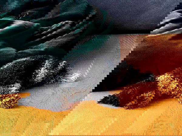 bymonamarie bymonamarie archive image