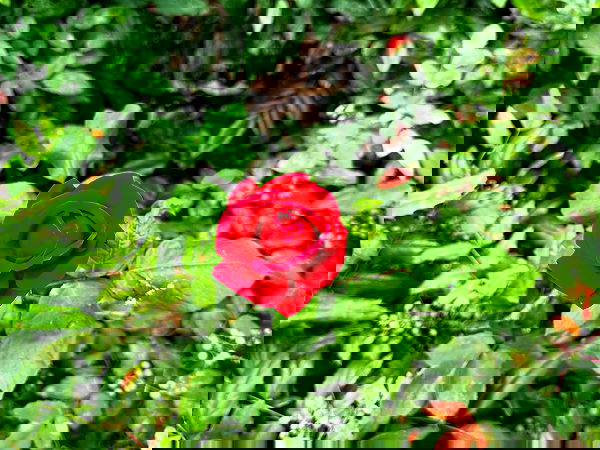 bymonamarie bymonamarie archive image