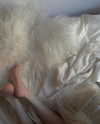 caa.liu Altpins Profile Picture