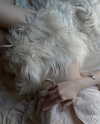 caa.liu Altpins Profile Picture
