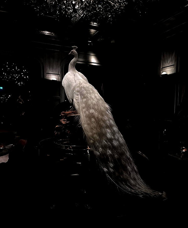 caa.liu instagram image archive image