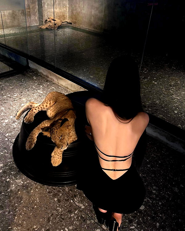 caa.liu instagram image archive image