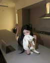 caa.liu Altpins Profile Picture