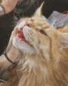 calyen Altpins Profile Picture