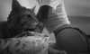 calyen Altpins Profile Picture