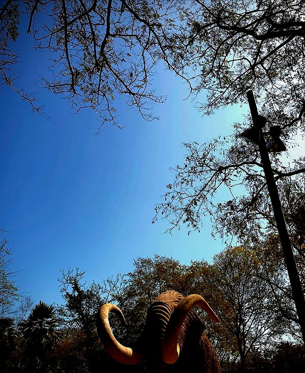calyen instagram image archive image