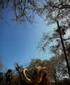 calyen Altpins Profile Picture