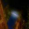 calyen Altpins Profile Picture