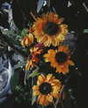 calyen Altpins Profile Picture