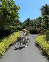 camlei_ Altpins Profile Picture