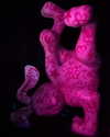 camlei_ Altpins Profile Picture