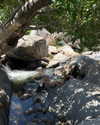 camlei_ Altpins Profile Picture