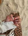 camlei_ Altpins Profile Picture