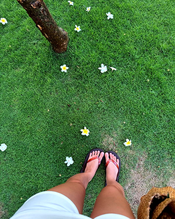 camlei_ instagram image archive image