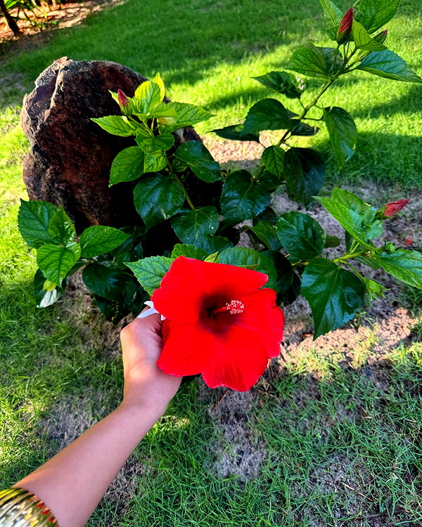 camlei_ instagram image archive image