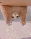 candy_balll Altpins Profile Picture