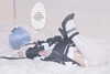 candy_balll Altpins Profile Picture