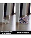 candy_balll Altpins Profile Picture