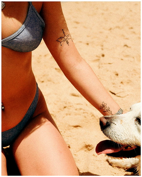 carine__photography carine__photography archive image