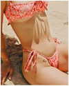 carine__photography Altpins Profile Picture