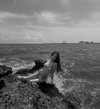 carlap15_ Altpins Profile Picture