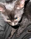 carmen.lial Altpins Profile Picture