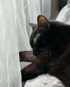 carmen.lial Altpins Profile Picture