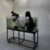carmen.lial Altpins Profile Picture