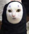 carmen.lial Altpins Profile Picture