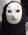 carmen.lial Altpins Profile Picture