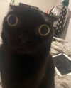 carmen.lial Altpins Profile Picture