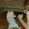 carmen.lial Altpins Profile Picture