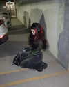carmen.lial Altpins Profile Picture