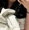 carmen.lial Altpins Profile Picture