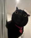 carmen.lial Altpins Profile Picture