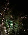 carmen.lial Altpins Profile Picture
