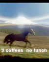 carmen.lial Altpins Profile Picture