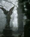 carmen.lial Altpins Profile Picture
