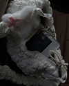 carmen.lial Altpins Profile Picture