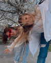 carmenrose._ Altpins Profile Picture