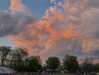 carmenrose._ Altpins Profile Picture