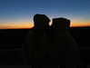 carmenrose._ Altpins Profile Picture