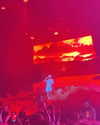 carmenrose._ Altpins Profile Picture
