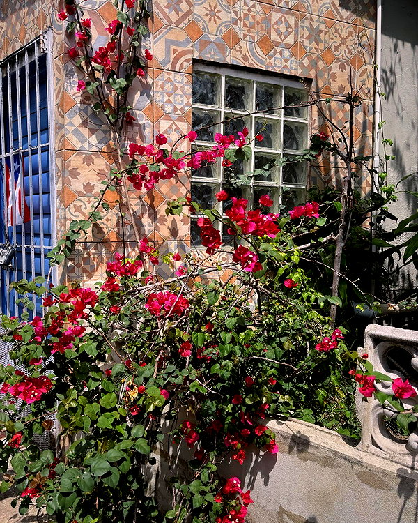 carmenrose._ instagram image archive image